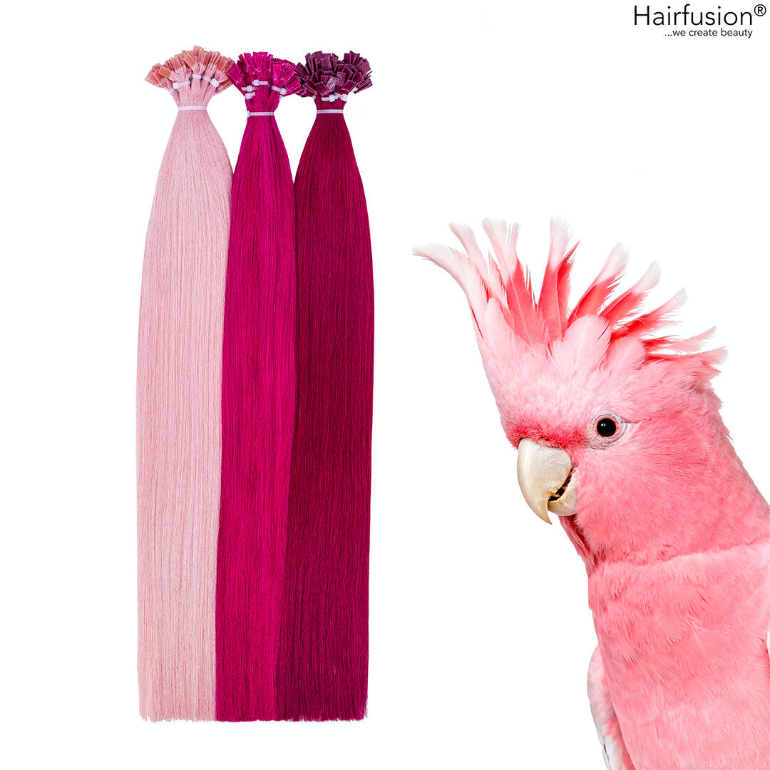 Bunte Bonding Extensions - 10 Stück (Flachbonding) Color Crush Collection Echthaar 50 cm